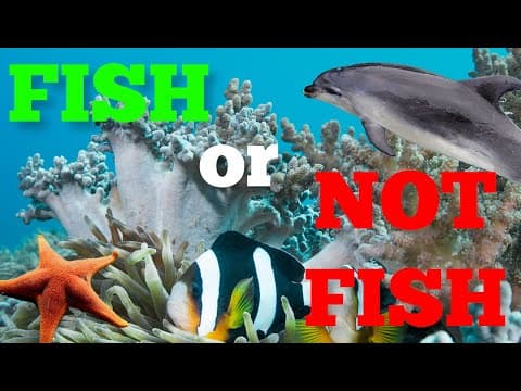 Fish or not fish- is that aquatic animal a fish?