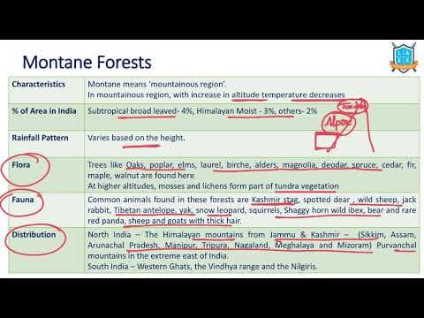 What is a Montane Forest ? || Types of Forests in India అంటే ఏమిటి?