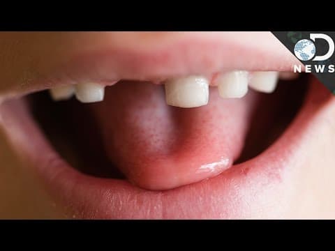 Why Do We Have Baby Teeth? - YouTube
