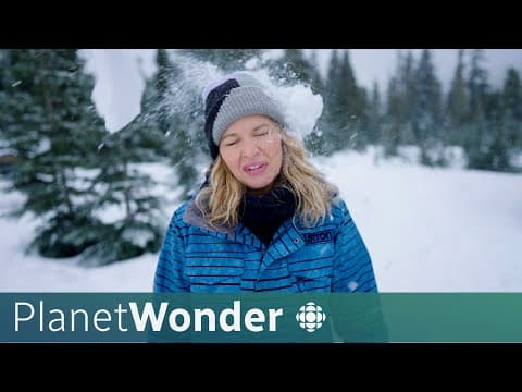 What can snow teach us about climate change? | Planet Wonder - YouTube