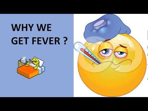 Why we get fever ? science educational video for children