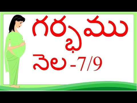 Pregnancy - month by month - month 7 - week 25 to week 28 - గర్భం నెల 7