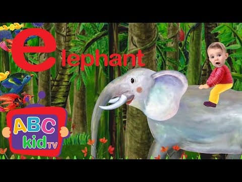 Learn the ABCs – Lowercase