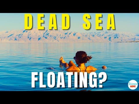 Why Is It Called Dead Sea Why Does Everyone Float In This Sea
