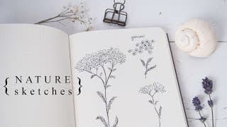 More Botanical Illustration| Sketching the Natural World