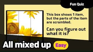 Can you figure out what it is | Easy and fun brain quiz for kids