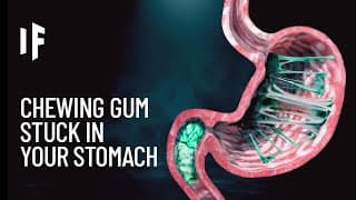 What If You Always Swallow Your Chewing Gum