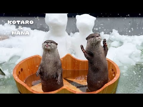 How to make an origami swan chopstick rest