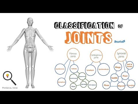 Classification of JOINTS || TYPES OF JOINTS || SYNOVIAL JOINTS