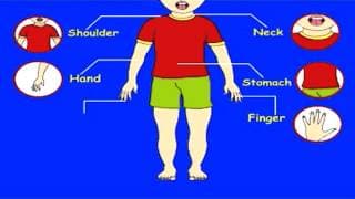 Learn Parts of the Body - Other Parts