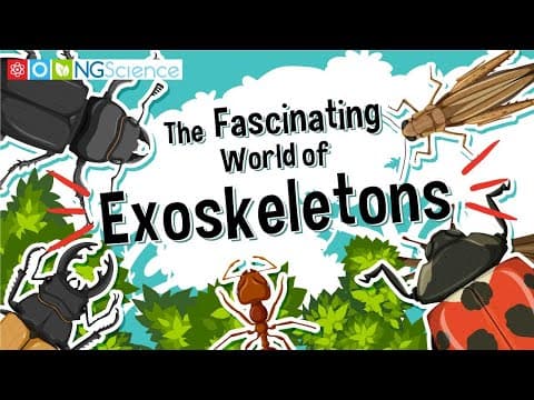 Making a terrarium for rare see-through glass frogs