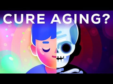 How to Cure Aging – During Your Lifetime? - YouTube