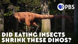 Did Eating Insects Shrink These Dinos