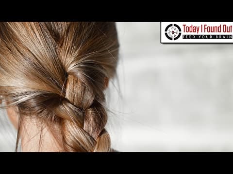 Why Does Hair Only Grow to a Certain Length?