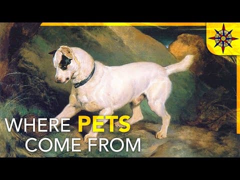 The geography of pets