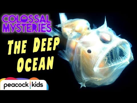 What’s in the Deepest Part of the Ocean? | COLOSSAL MYSTERIES