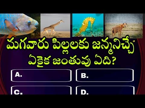 #telugu interesting general knowledge questions and answers 