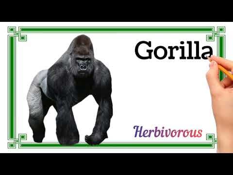 Animal names| Herbivorous | Omnivorous | Carnivorous | Types of Animals
