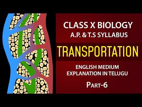 Transportation |Lymphatic system |biology