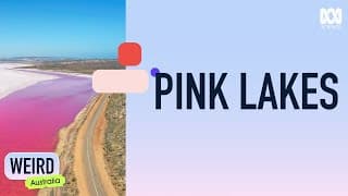 Why does Australia have so many pink lakes