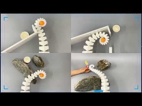 The Last of the Woolly Mammoths|Fossil evidence illuminates their extinction