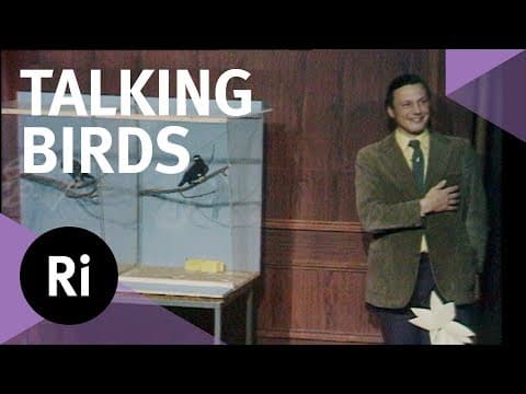 Mimicry vs Language - with Sir David Attenborough