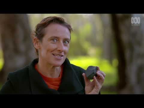 Did asteroids kick start life on Earth? | Catalyst