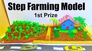 step farming model making project