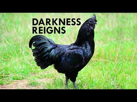 The Dark Side of Evolution