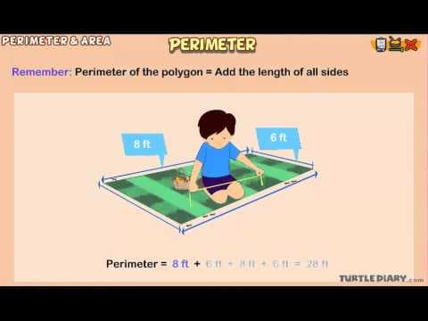 Finding the Perimeter of a Shape! Math for Kids