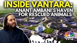 Inside Anant Ambani's Vantara Reliance Foundations Animal Rescue and Care Facility  N18V