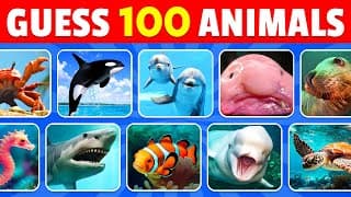 Guess 100 Sea Animals in 3 Seconds