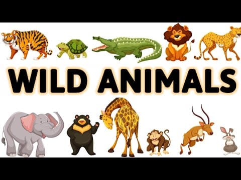 Wild Animals | Wild animals for kids | Wild animals name | Home based school