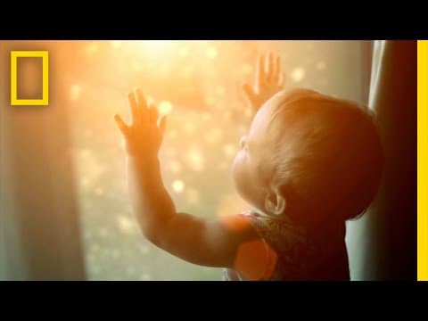 What Do You See? | Brain Games