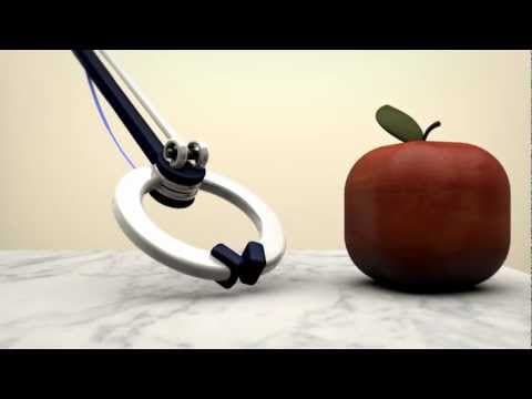 Newtons Three Laws of Motion