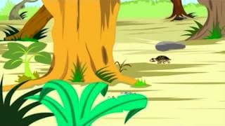 Learn Opposites - Slow - Fast