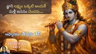 Bhagavad Gita chapter 5 verse17|karma sanyasa yoga|మళ్లీ జననం చెందరు…|భవద్గీత 5.17|