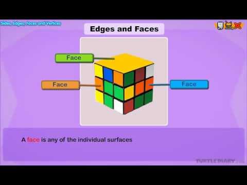 Edges and Faces of Shapes Explained Math for Kids