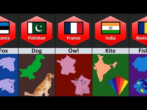 Countries Map Look Like Things From Different Countries