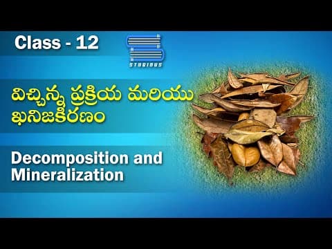 విచ్చిన్న ప్రక్రియ & ఖనిజకిరణం – Decomposition & Mineralization | Ecosystem | Biology
