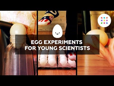 Cool DIY egg experiments