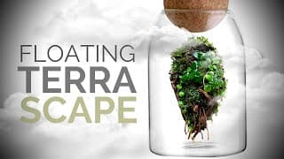 Avatar inspired Floating Terrascape | Terrarium