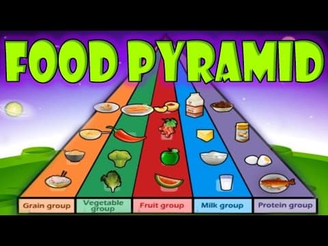 Nutrition food pyramid healthy eating educational videos for kids funny game for children