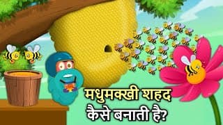 मधुमक्खी शहद कैसे बनाती है| How Do Bees Make Honey In Hindi | Binocs Ki Duniya