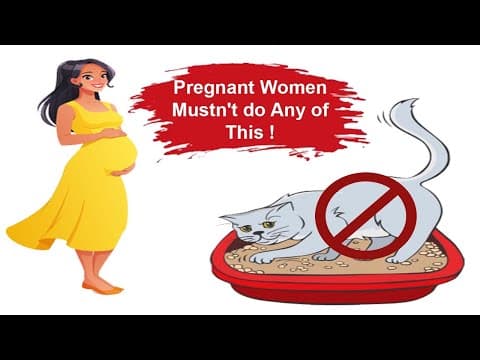 Be Careful! Pregnant Women Mustn’t Do Any of This