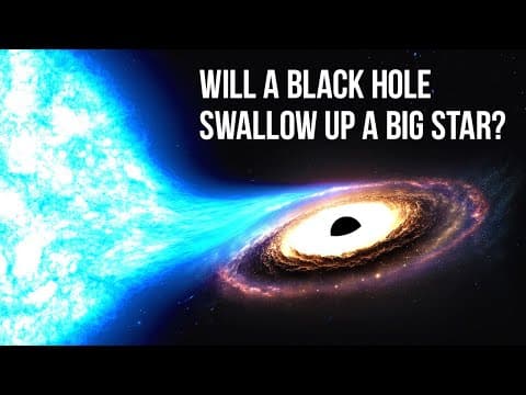 Will a Massive Star Survive its Date with a Black Hole?