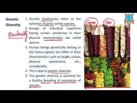 What is Genetic Biodiversity ? || Genetic Biodiversity అంటే ఏమిటి?