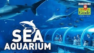 A Walk Through the Second Largest Aquarium in the World|Singapore|M M Travel Guide