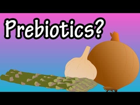 Prebiotics - What Are Prebiotics - Health Benefits Of Prebiotics - Foods High In Prebiotics