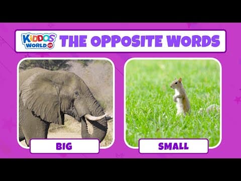 Learn the opposites words in english using video comparisons